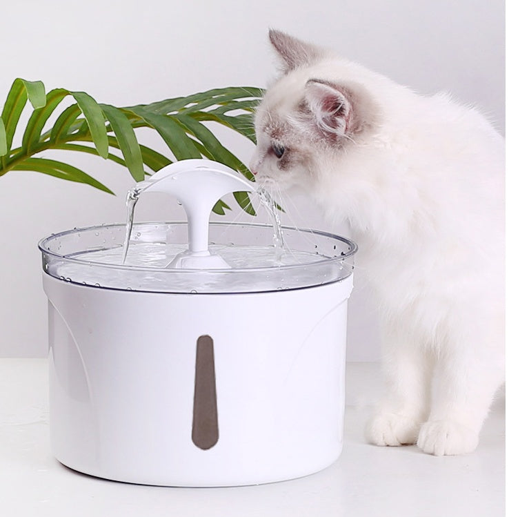 Smart Pet Water Fountain