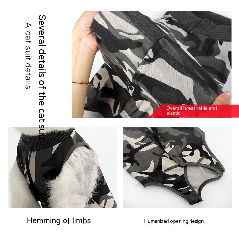 Recovery Attire for Cats After Surgery