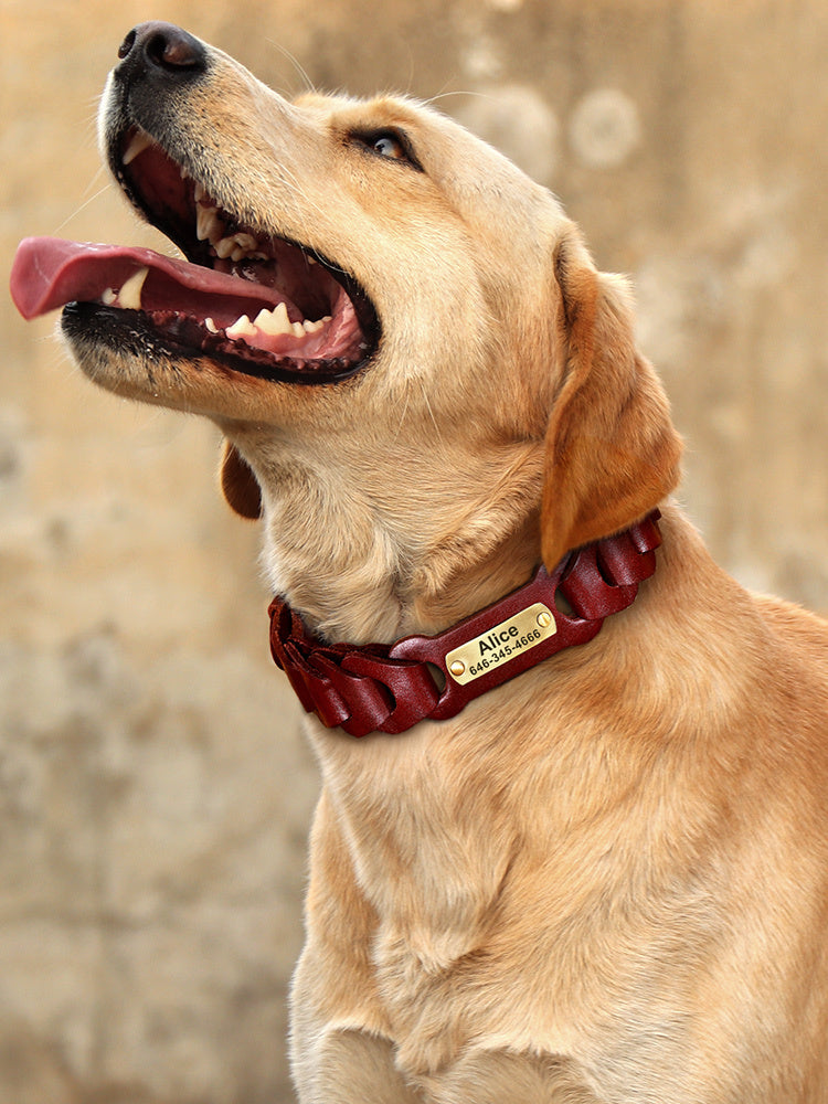 Stylish Braided Leather Collar for Medium and Large Dogs