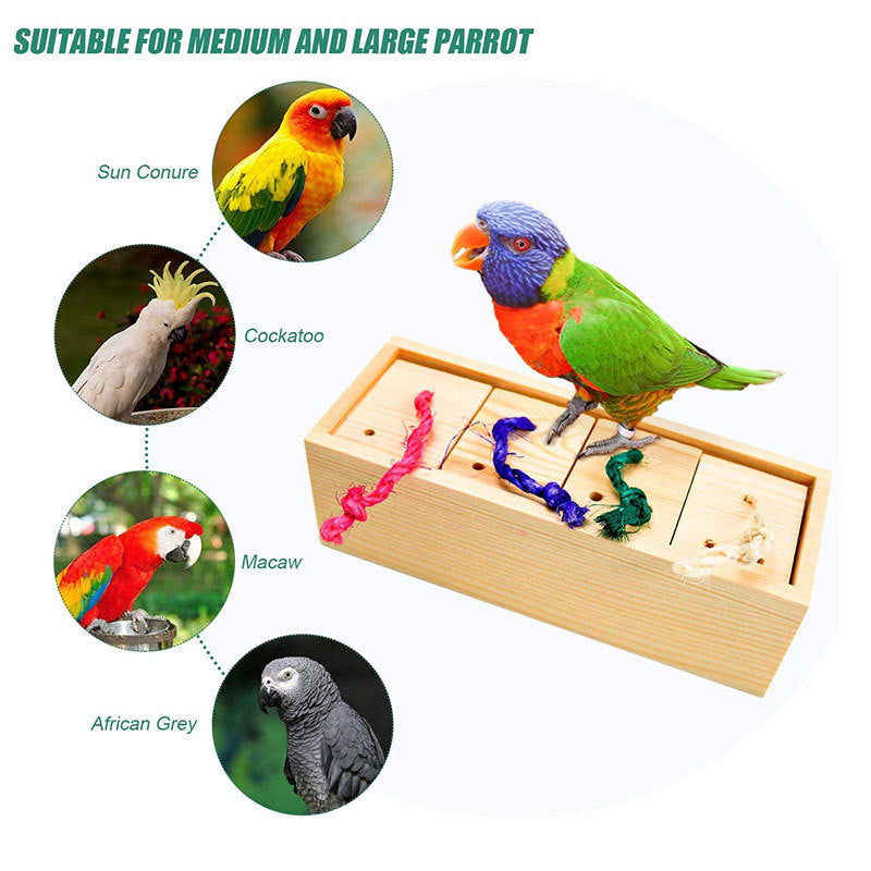 Parrot Mental Stimulation Puzzle and Toy Supplies