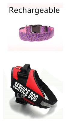 Leopard Pattern LED Safety Collar for Dogs