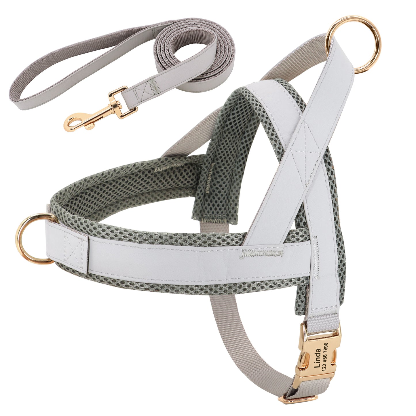 Unique Dog Harness with Coordinating Leash