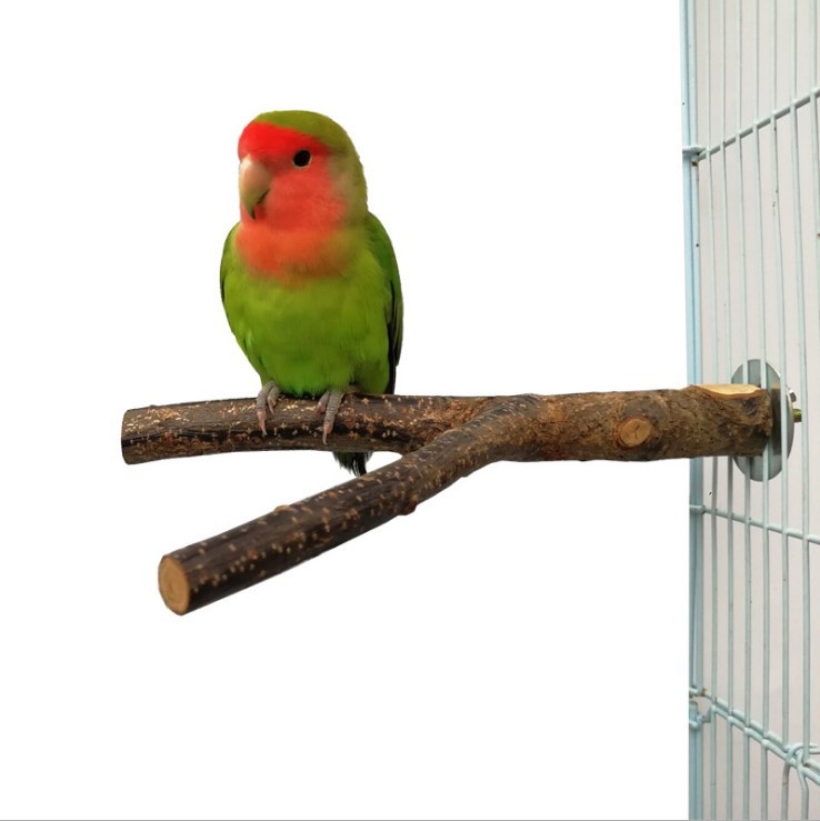Bird Cage Chew and Perch Frame