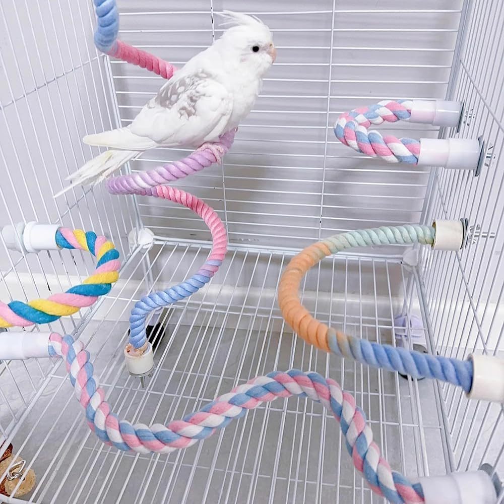 Gradient Bird Perch Stand with Bendable Rope