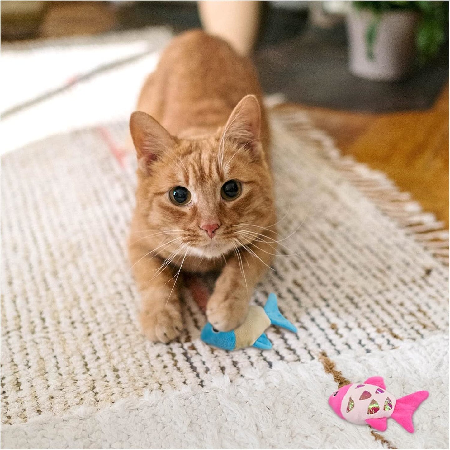 Small Catnip Fish Toys with Crinkle Sound for Indoor Cats to Bat and Chew