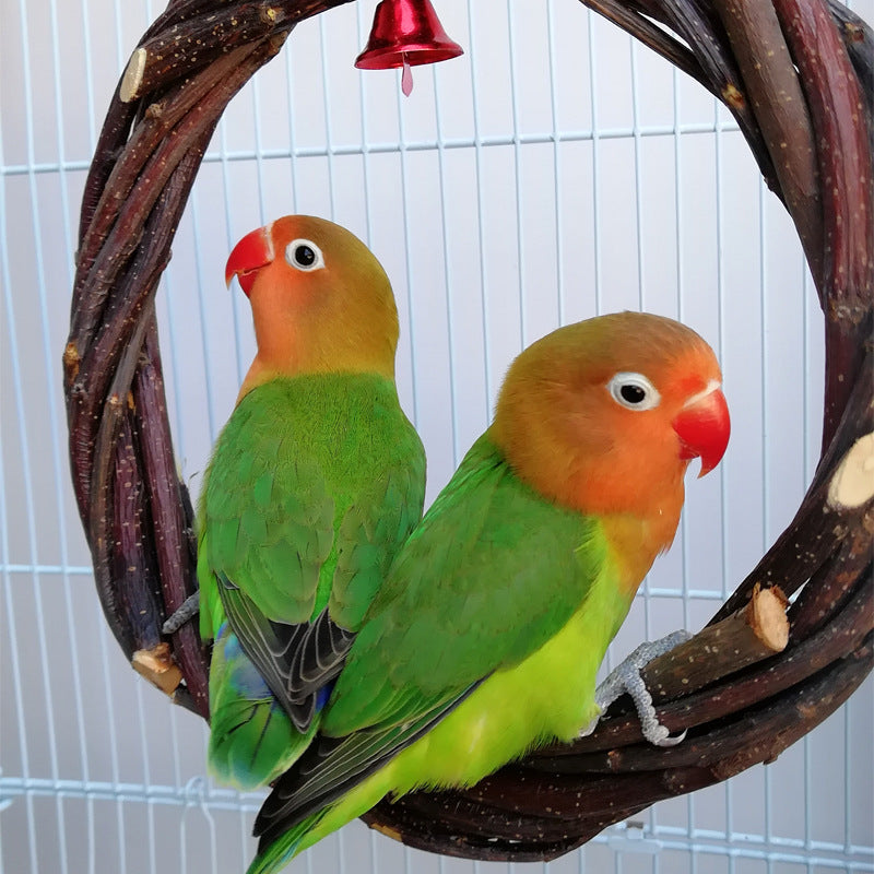 Bird Cage Chew and Perch Frame