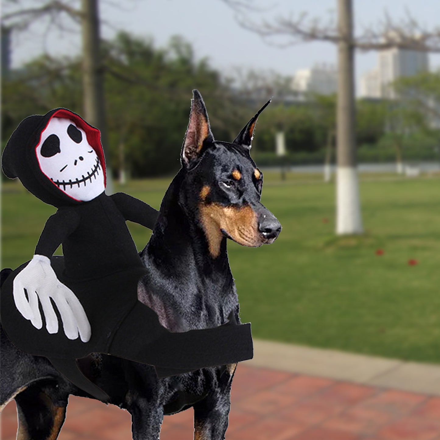 Halloween Costume For Pet Decoration Dress Up