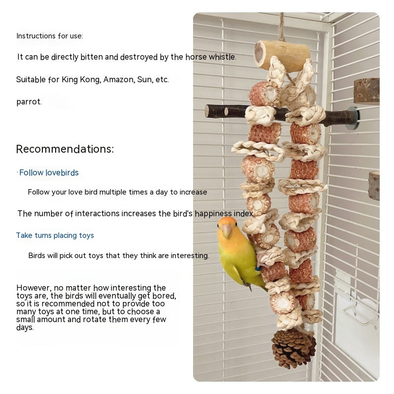Parrot Beak Maintenance Toy for Medium to Large Birds
