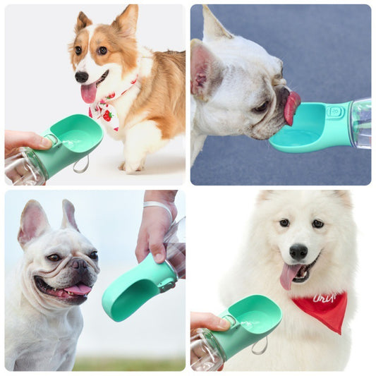 Portable Dog Water Dispenser