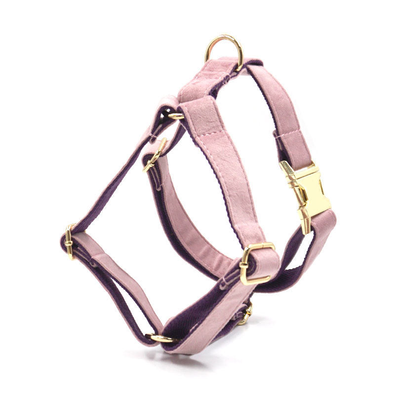 Luxurious Velvet Dog Collar and Leash Set
