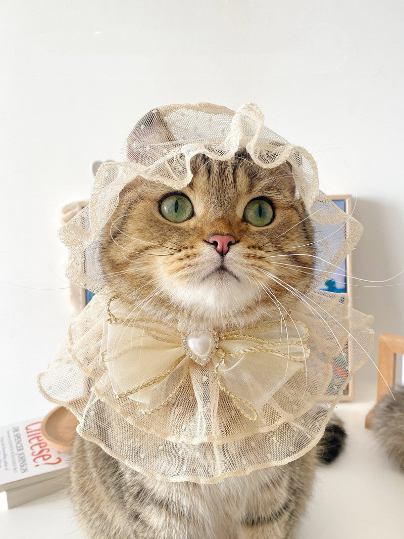 Pet Lace Dress with Matching Hat