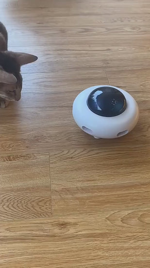 Pet Toy Gravity UFO Flying Sucer Electric Funny Ca